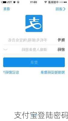 支付宝登陆密码