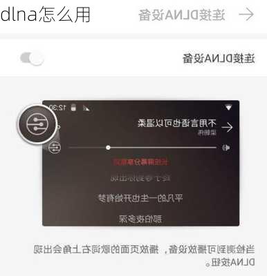 dlna怎么用