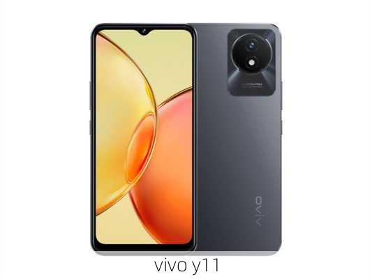 vivo y11