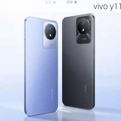 vivo y11