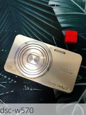 dsc-w570