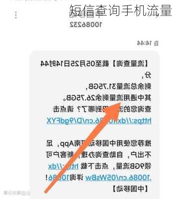 短信查询手机流量