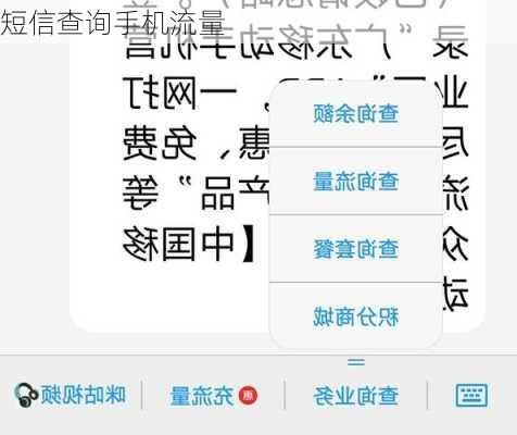 短信查询手机流量