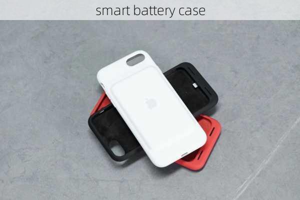 smart battery case