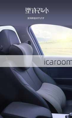 icaroom