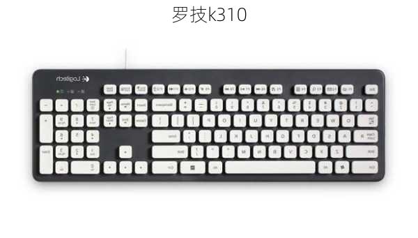 罗技k310