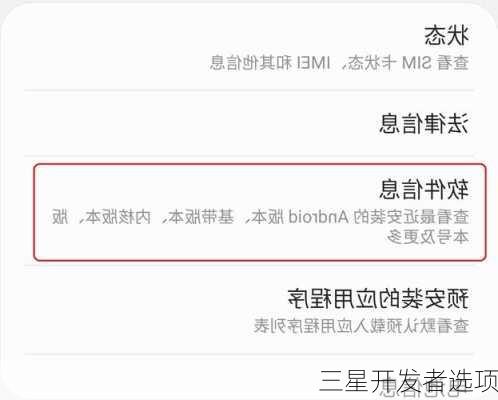 三星开发者选项