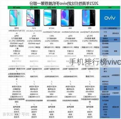 手机排行榜vivo