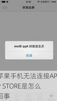 苹果手机无法连接APP STORE是怎么回事