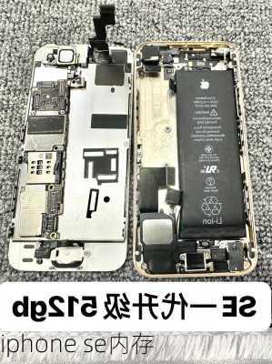 iphone se内存