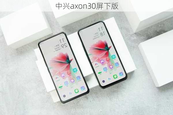 中兴axon30屏下版