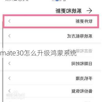 mate30怎么升级鸿蒙系统