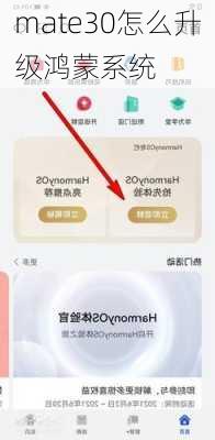 mate30怎么升级鸿蒙系统