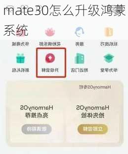 mate30怎么升级鸿蒙系统