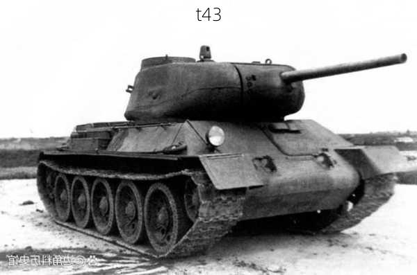 t43