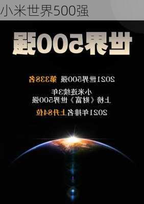 小米世界500强