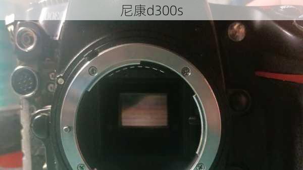 尼康d300s