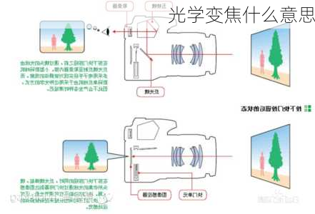 光学变焦什么意思