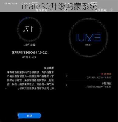 mate30升级鸿蒙系统