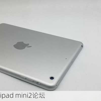 ipad mini2论坛