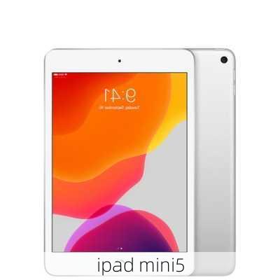 ipad mini5