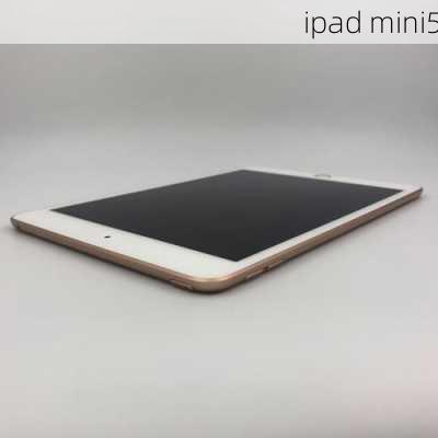 ipad mini5