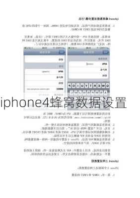 iphone4蜂窝数据设置