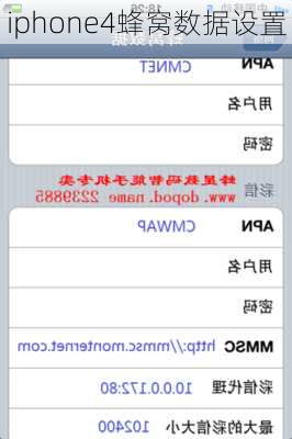 iphone4蜂窝数据设置