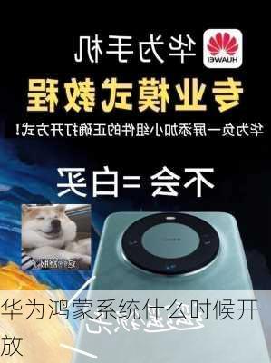 华为鸿蒙系统什么时候开放