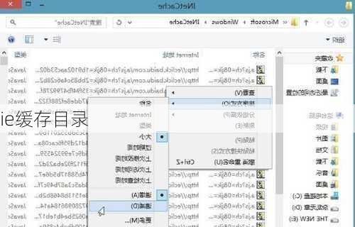 ie缓存目录