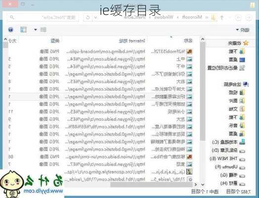 ie缓存目录