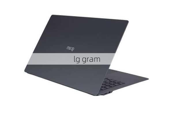 lg gram