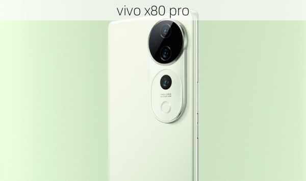 vivo x80 pro