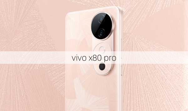 vivo x80 pro