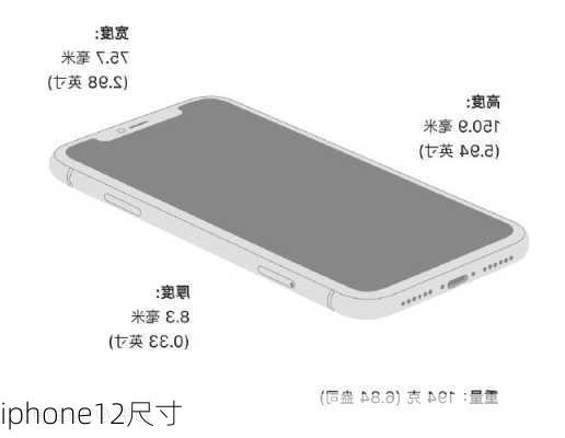 iphone12尺寸