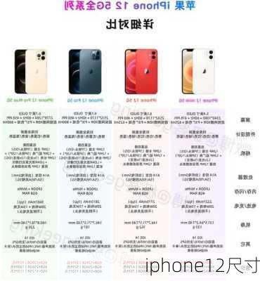 iphone12尺寸