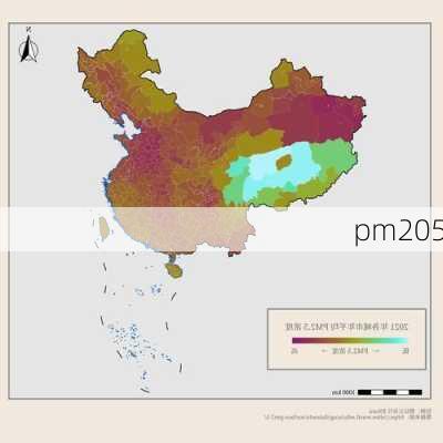 pm205