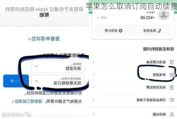 苹果怎么取消订阅自动续费