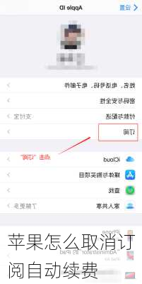 苹果怎么取消订阅自动续费