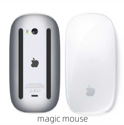 magic mouse