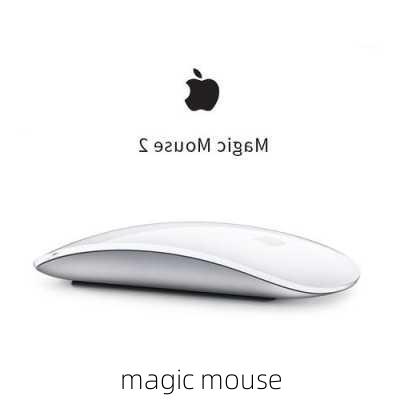 magic mouse