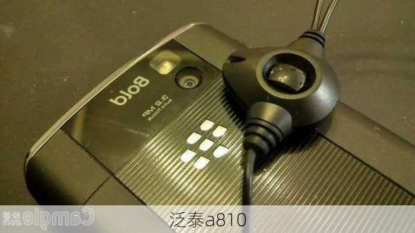 泛泰a810