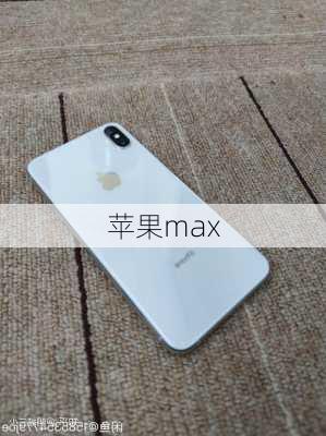 苹果max