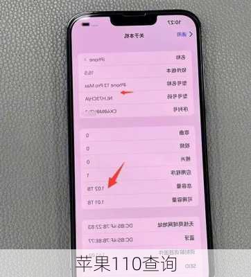 苹果110查询