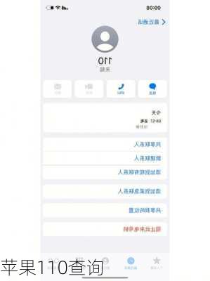 苹果110查询