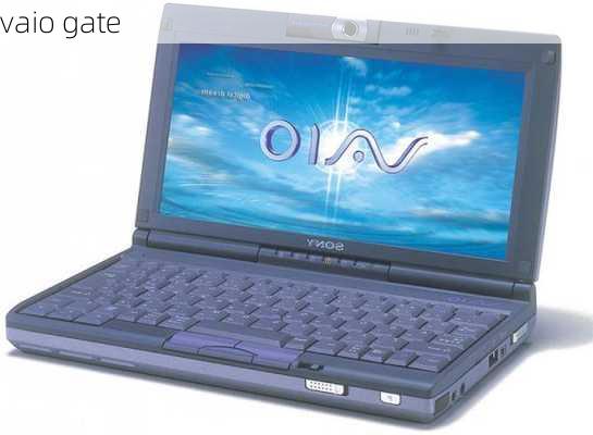 vaio gate