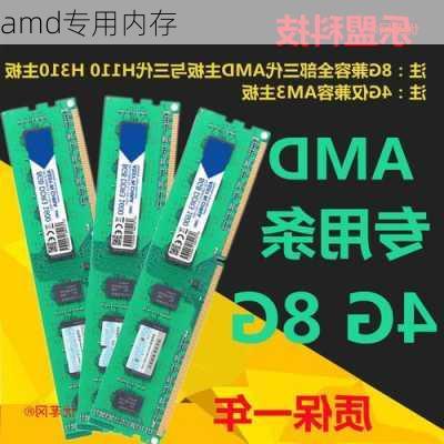 amd专用内存