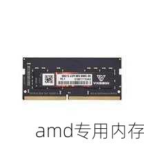 amd专用内存