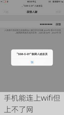 手机能连上wifi但上不了网