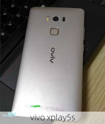 vivo xplay5s